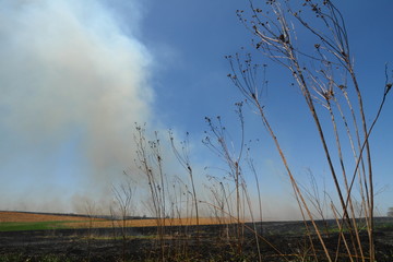 Obraz premium Prairie Fire