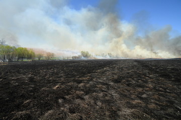 Prairie Fire