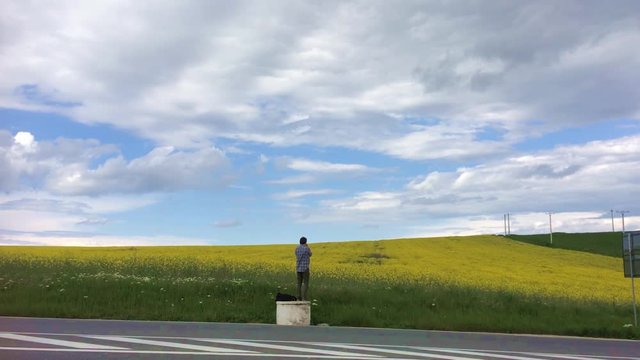 man taking a photo of a rape field on a busy road 