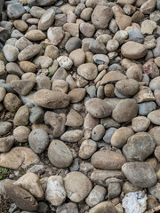 Kieselsteine