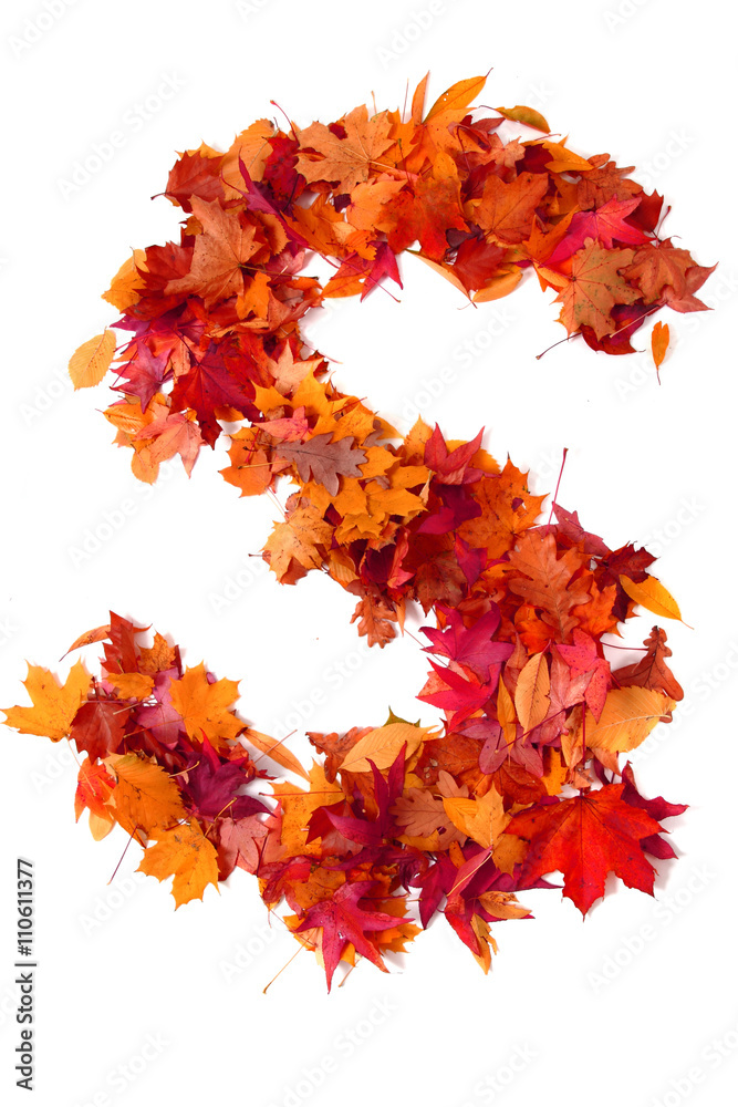 Wall mural alphabet sign from autumn leaf