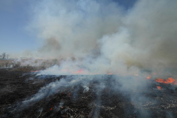 Obraz na płótnie Canvas Prairie Fire