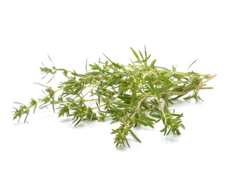 Thyme fresh herb isolated on white background