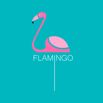 flamingo bird sign