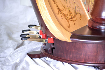 Pedals of a pedal harp