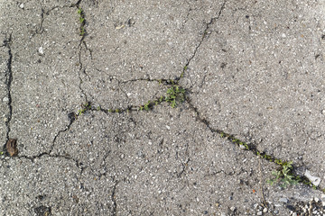 Fototapeta premium Texture of the old road with cracks