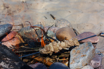 The meat on the fire