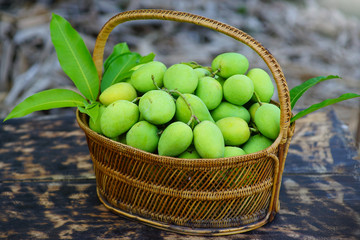 Fresh green mango in basket