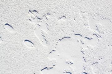 Snow