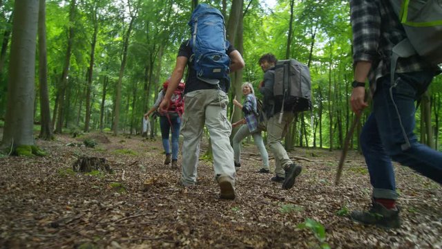  Cheerful group of hipster friends hiking in the woods together. 
