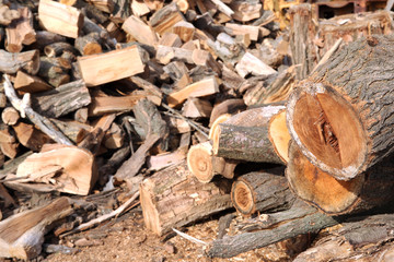 Chopped firewood background
