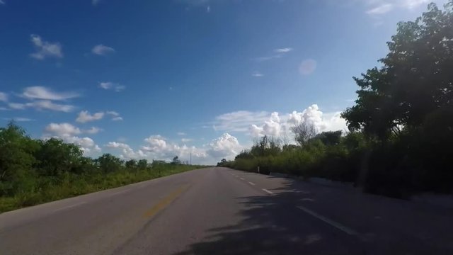 Driving Timelapse From Car into the jungle, Mexico