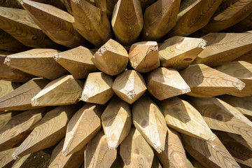 Wooden Fencing Spikes Abstract