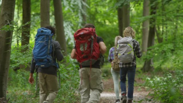  Group of friends hiking in the woods walking along a forest trail. 