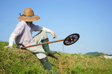 Old man mowing grass with mower / 草刈機で草刈りをする高齢者 農作業 農業...