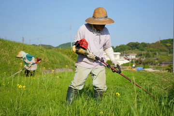 Old man mowing grass with mower / 草刈機で草刈りをする高齢者 農作業 農業...