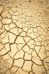 Dry Cracked Orange Coloured Mud