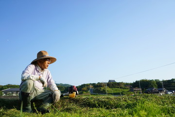 Naklejka na ściany i meble Old man mowing grass with mower / 草刈機で草刈りをする高齢者 農作業 農業 おじいさん おばあさん 農家 栽培