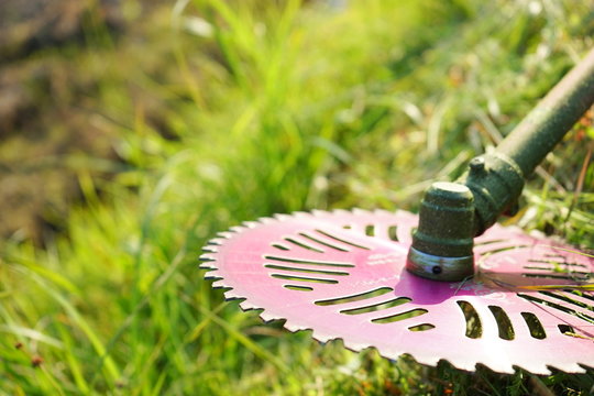 Old man mowing grass with mower / 草刈機で草刈りをする高齢者 農作業 農業 おじいさん おばあさん 農家 栽培