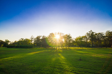 Sunset in beautiful park over blue sky