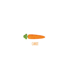 Carrot Vector