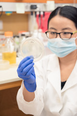 Fototapeta premium Biology researcher in the laboratory