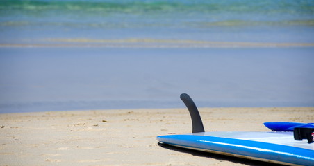 Fototapeta na wymiar Boogie board abandoned on a sand at Kaunaoa beach