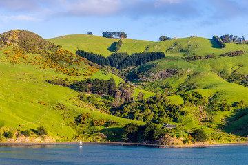 Fototapeta na wymiar New Zealand Otago Region coastal landscape