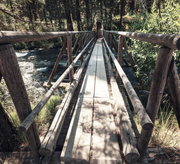 Fototapeta premium Boardwalk in the forest