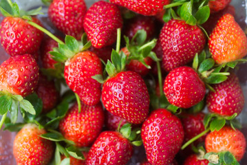 Fresh ecology strawberry background