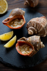 Julienne made of seafood and served in rapana shells, closeup