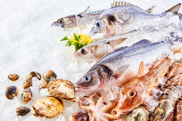 Variety of Raw Fish and Shellfish on Bed of Ice