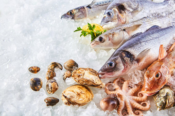 Variety of Raw Fish and Shellfish on Bed of Ice