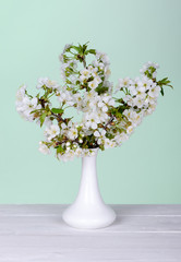 Flowering cherry branches in a white vase