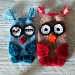 owl puppet for children day