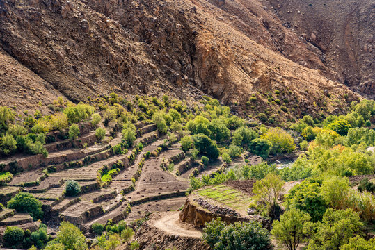Terraces below the village of Tizgui.