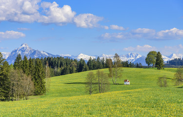 Naturidylle im Ostallgäu