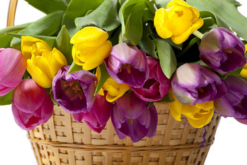 cropped image of pink and yellow flowers.