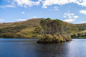 Loch Eilt Lochaber West Highlands Scotland