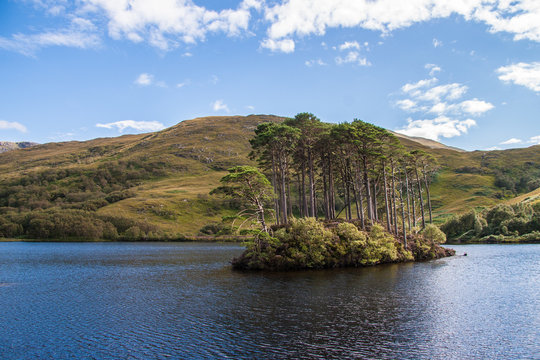 Loch Eilt Lochaber West Highlands Scotland