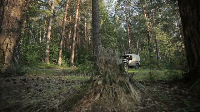 rare jeep driving on a forest road