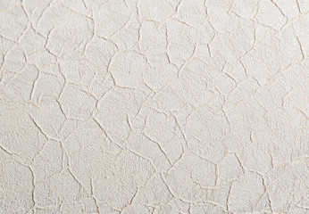 Cracked texture