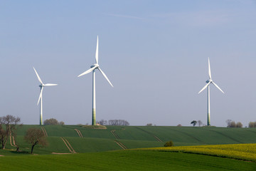 Obraz premium Windkrafträderauf einem Feld neben einem Rapsfeld