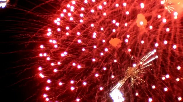 Real colourful Fireworks in night sky. HD. 