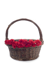 Fototapeta na wymiar red carnation on basket