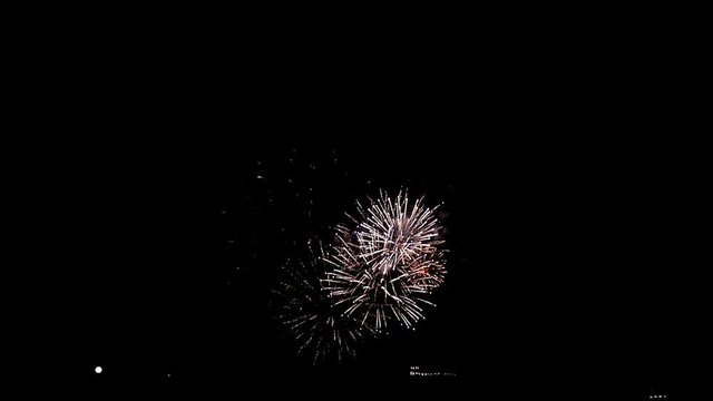 Real colourful Fireworks in night sky. HD. 