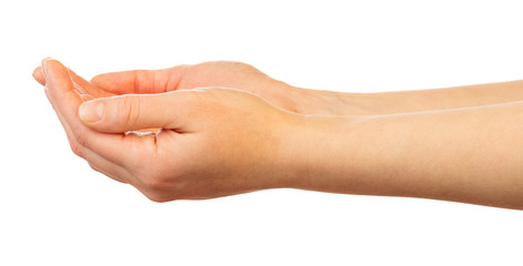 women's hands are folded in a handful isolated 