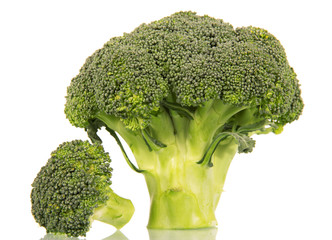 Green broccoli close up isolated 