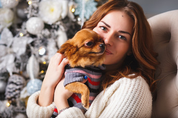 Portrait of a girl in casual clothes with a little dog together over christmas background