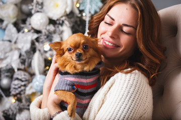 Portrait of a girl in casual clothes with a little dog together over christmas background